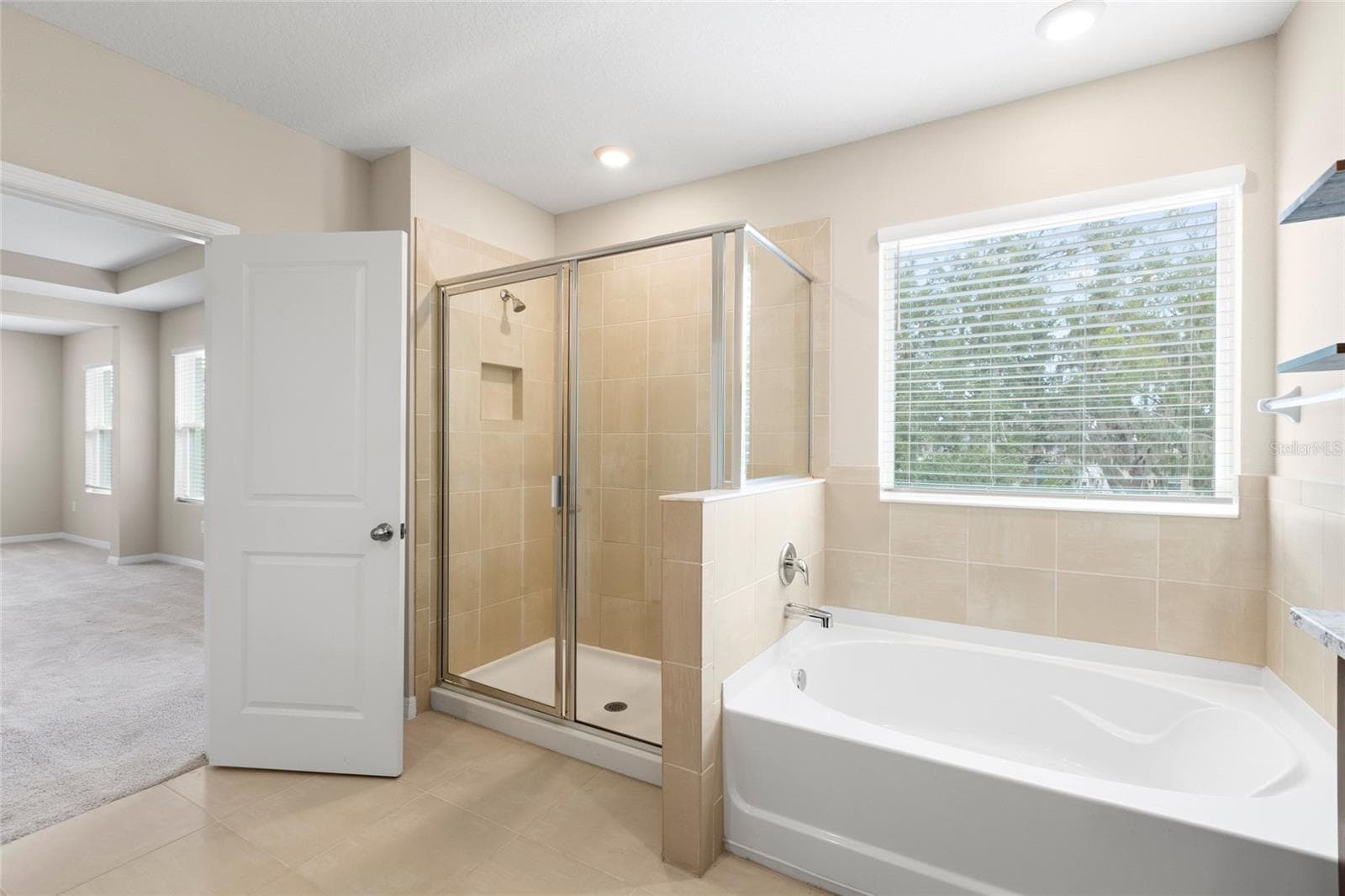 Single Family Residence at 13071 BROOKSIDE MOSS DR, RIVERVIEW, photo 45 of 87