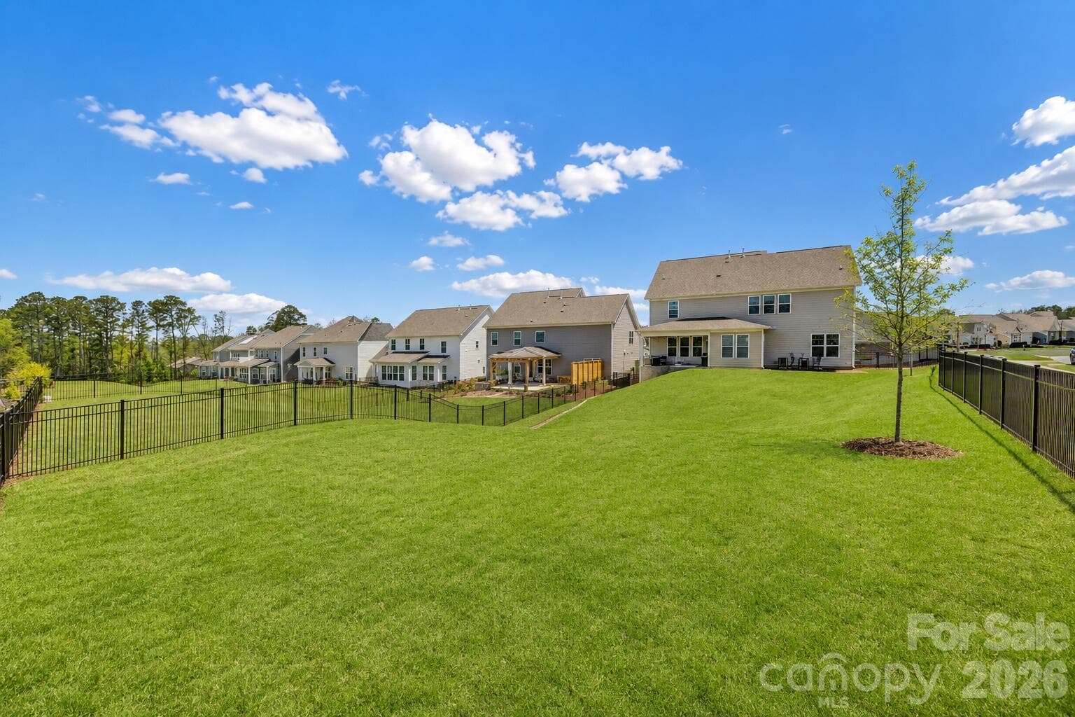 Single Family Residence at 16203 Tulloch Road, Charlotte, photo 3 of 30