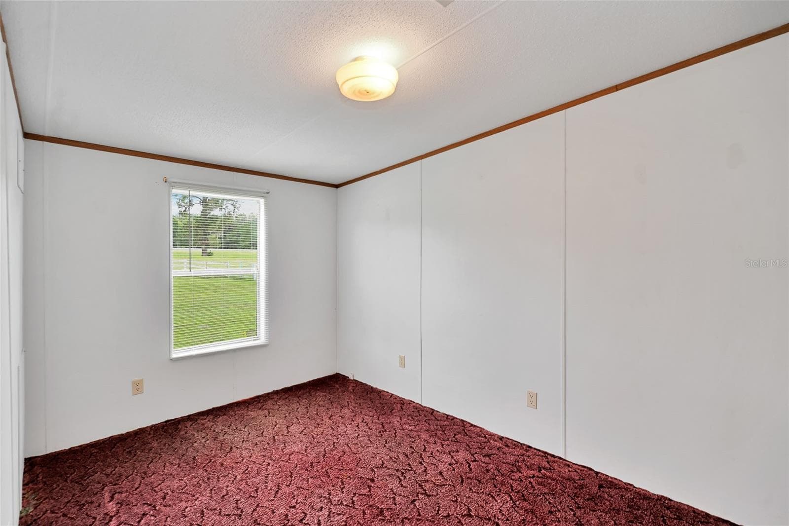 Farm at 19566 NW 123RD CT, MICANOPY, photo 21 of 62