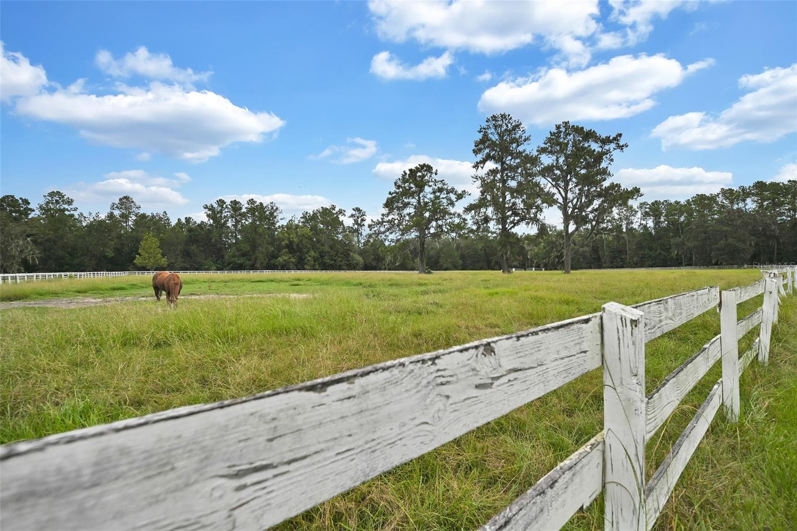 Farm at 19566 NW 123RD CT, MICANOPY, photo 2 of 62