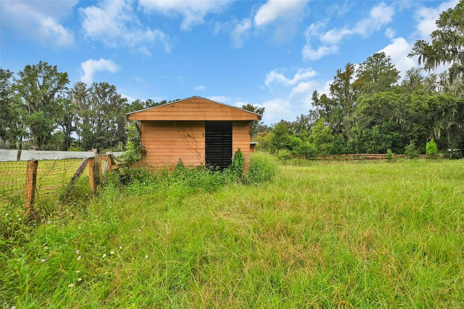 Farm at 19566 NW 123RD CT, MICANOPY, photo 43 of 62