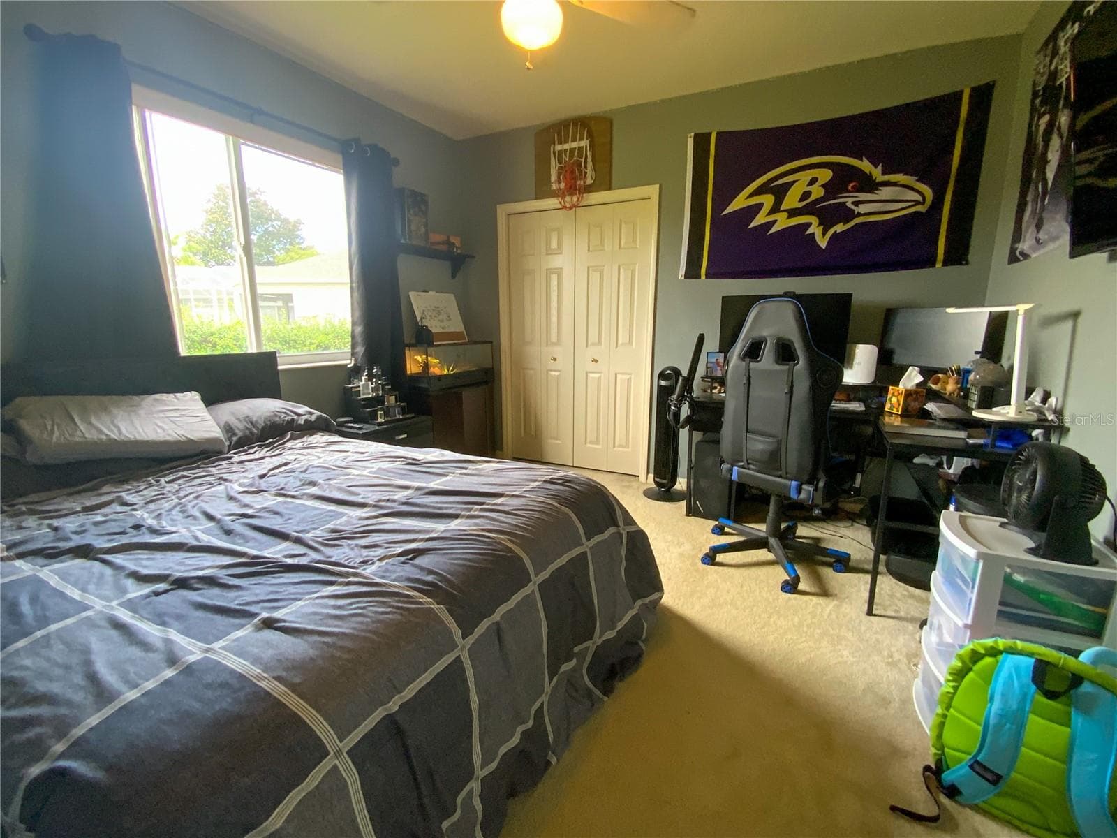 Bedroom 2 - 10528 GOOSEBERRY CT, TRINITY