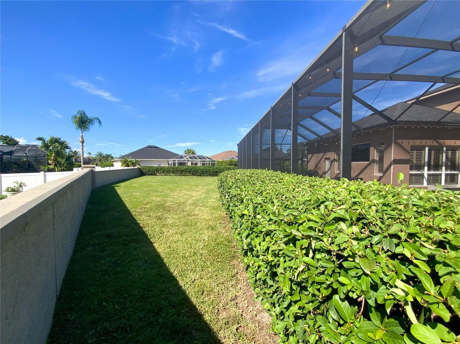 Rear Yard - 10528 GOOSEBERRY CT, TRINITY