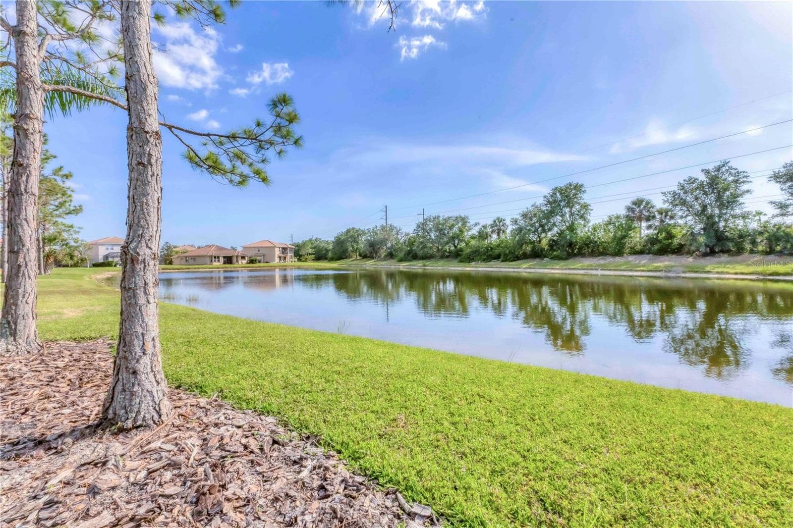Single Family Residence at 11504 DANCING RIVER DR, VENICE, photo 6 of 45
