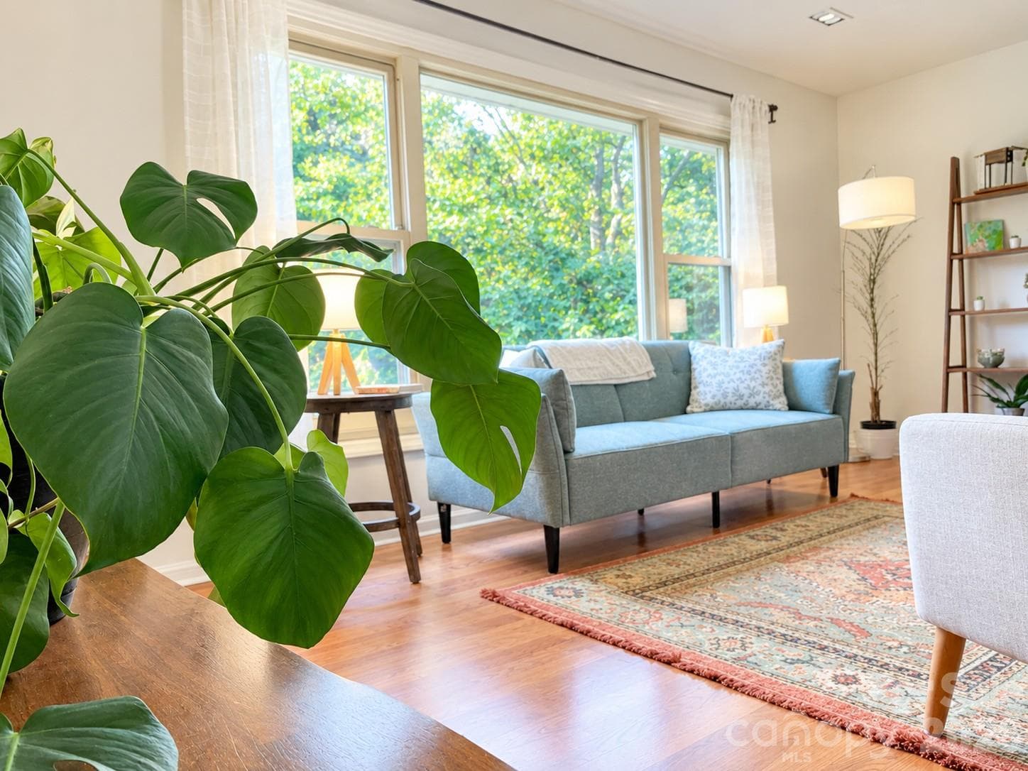 Living room with large window - Asheville