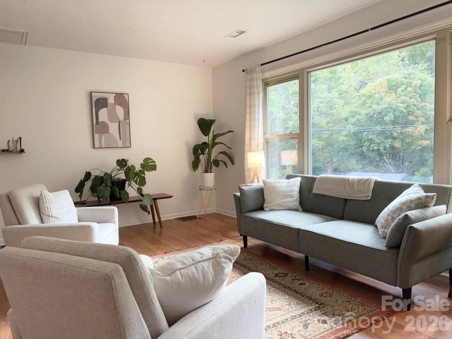 light filled living room - Asheville