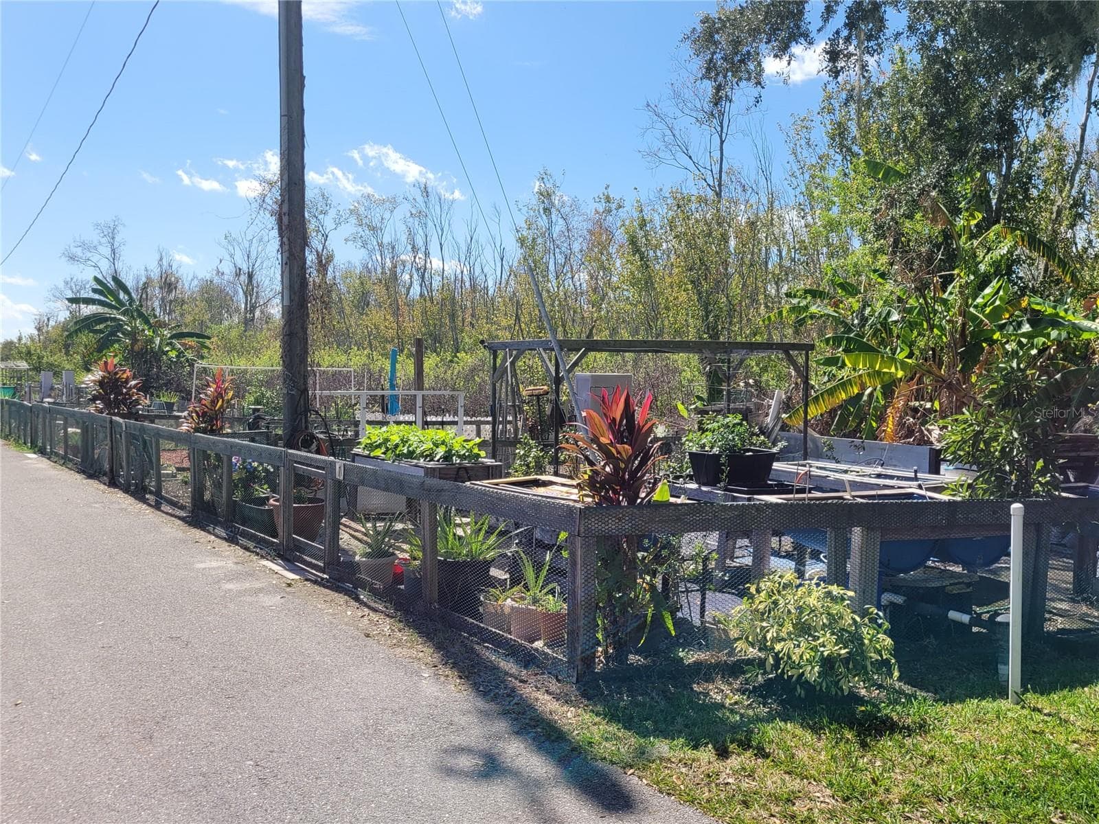 Manufactured Home at 57 STRAPHMORE DR, HAINES CITY, photo 62 of 68