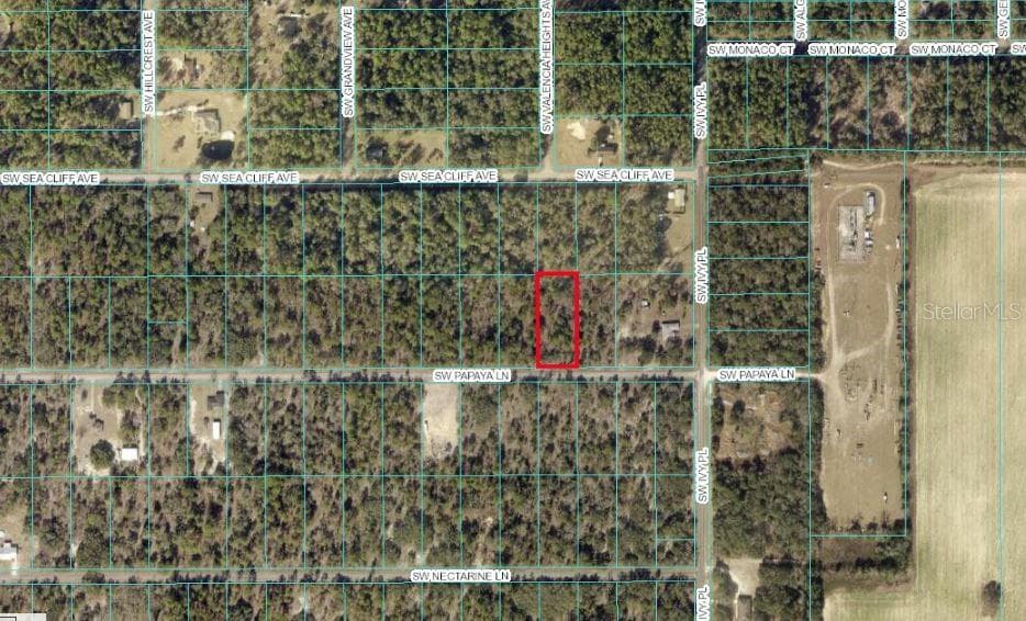 TBD SW PAPAYA LN
