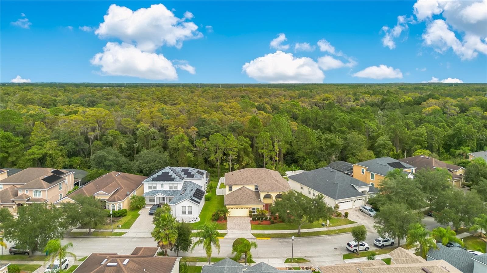 conservation lot - 5762 COVINGTON COVE WAY, ORLANDO