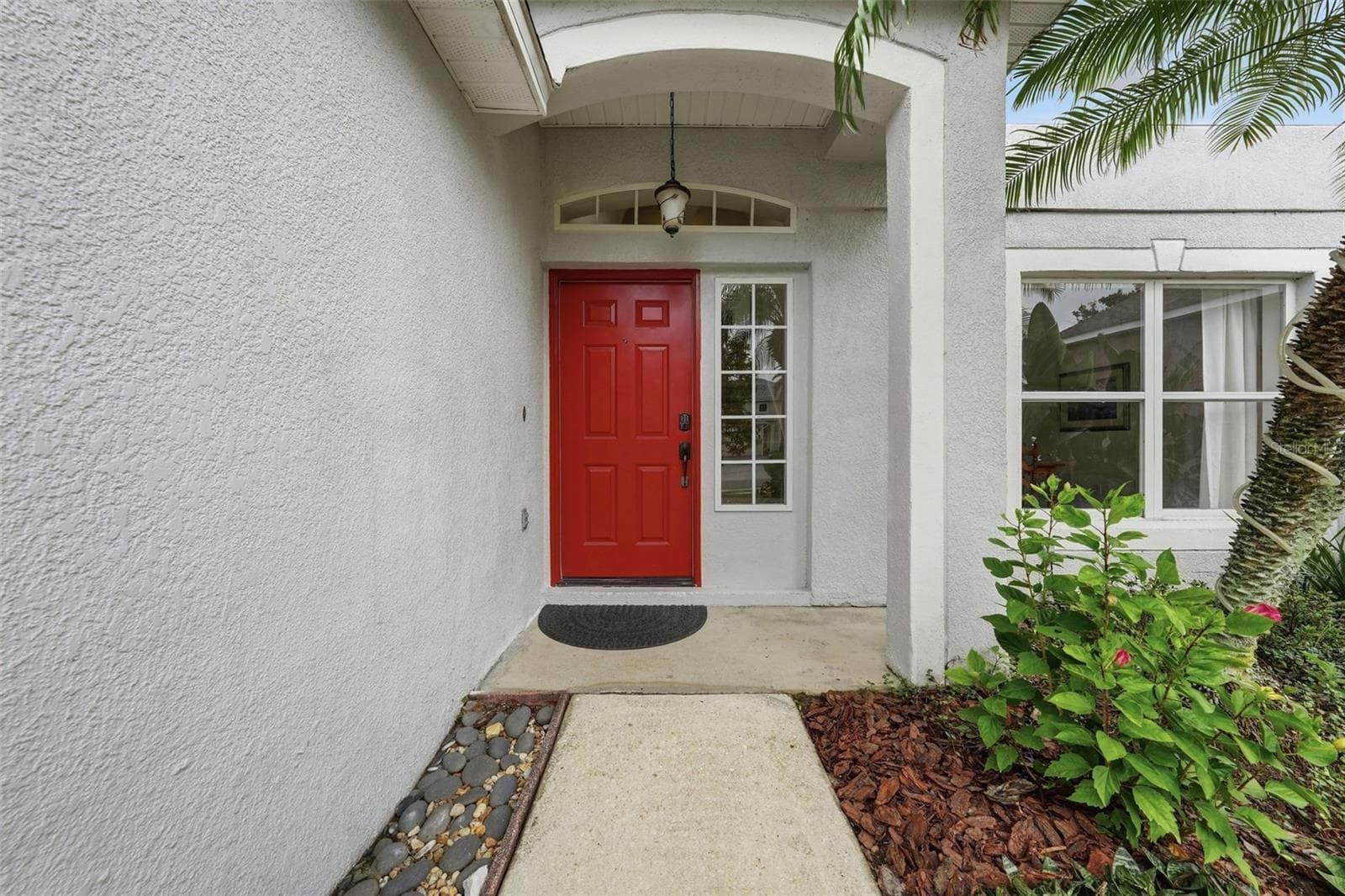 Mature Landscaping - 6526 POMEROY CIR, ORLANDO