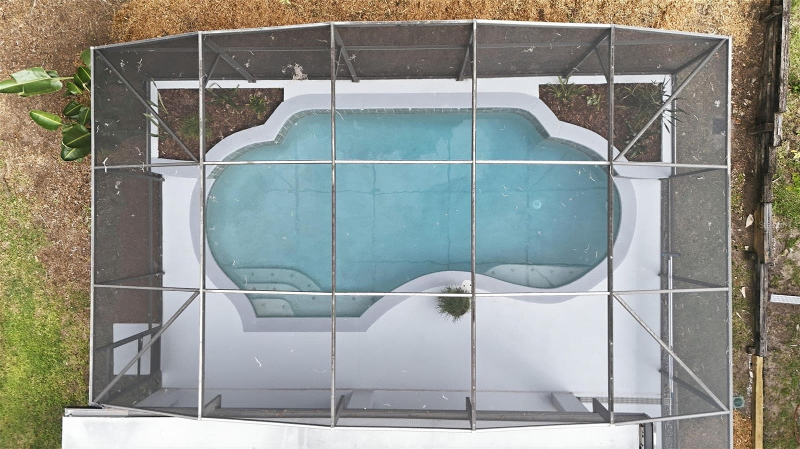 Large Pool and Screen Enclosure - 6526 POMEROY CIR, ORLANDO