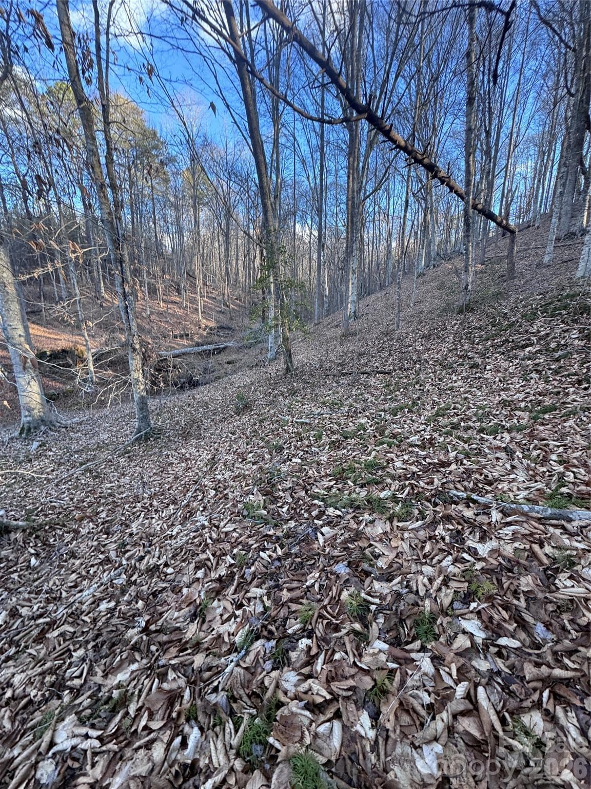 Lot at Rutherfordton, photo 4 of 32