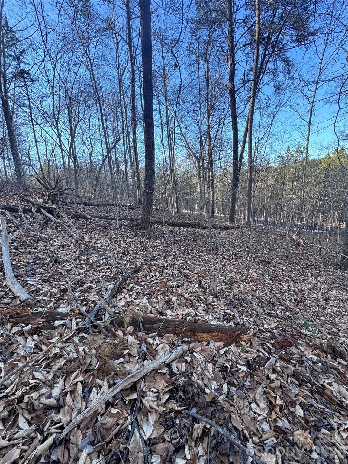 Lot at Rutherfordton, photo 6 of 32