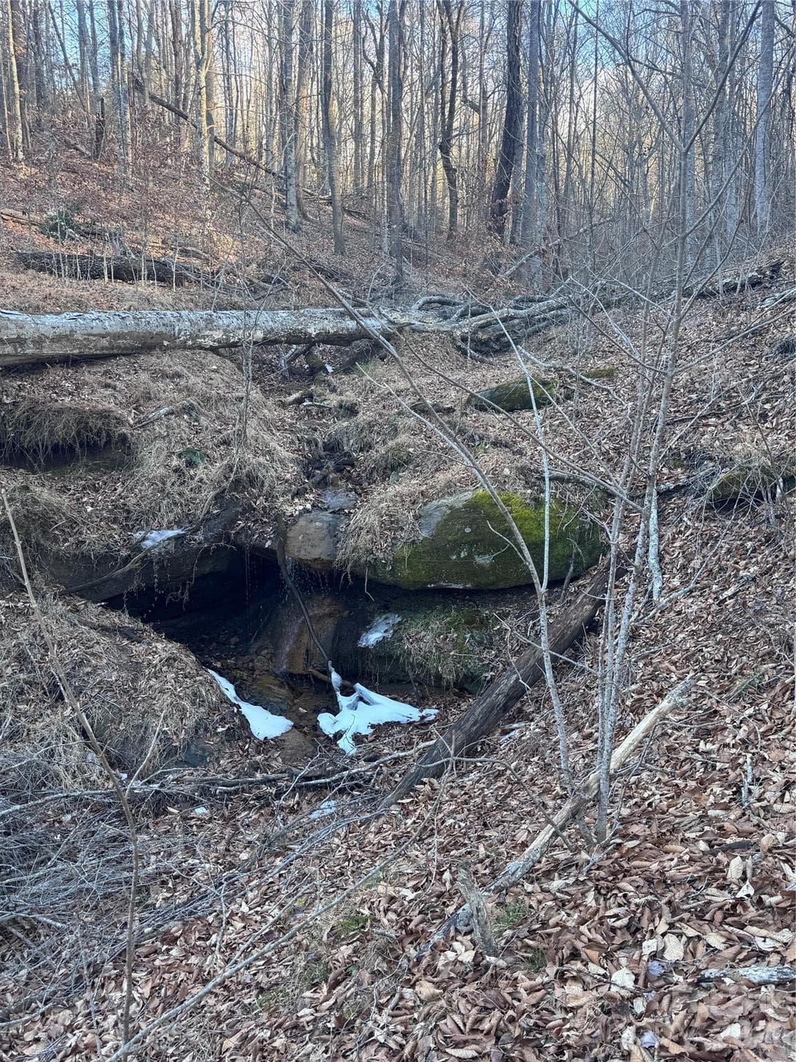 Lot at Rutherfordton, photo 8 of 32