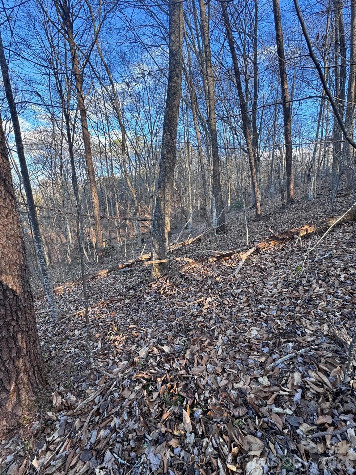 Lot at Rutherfordton, photo 10 of 32