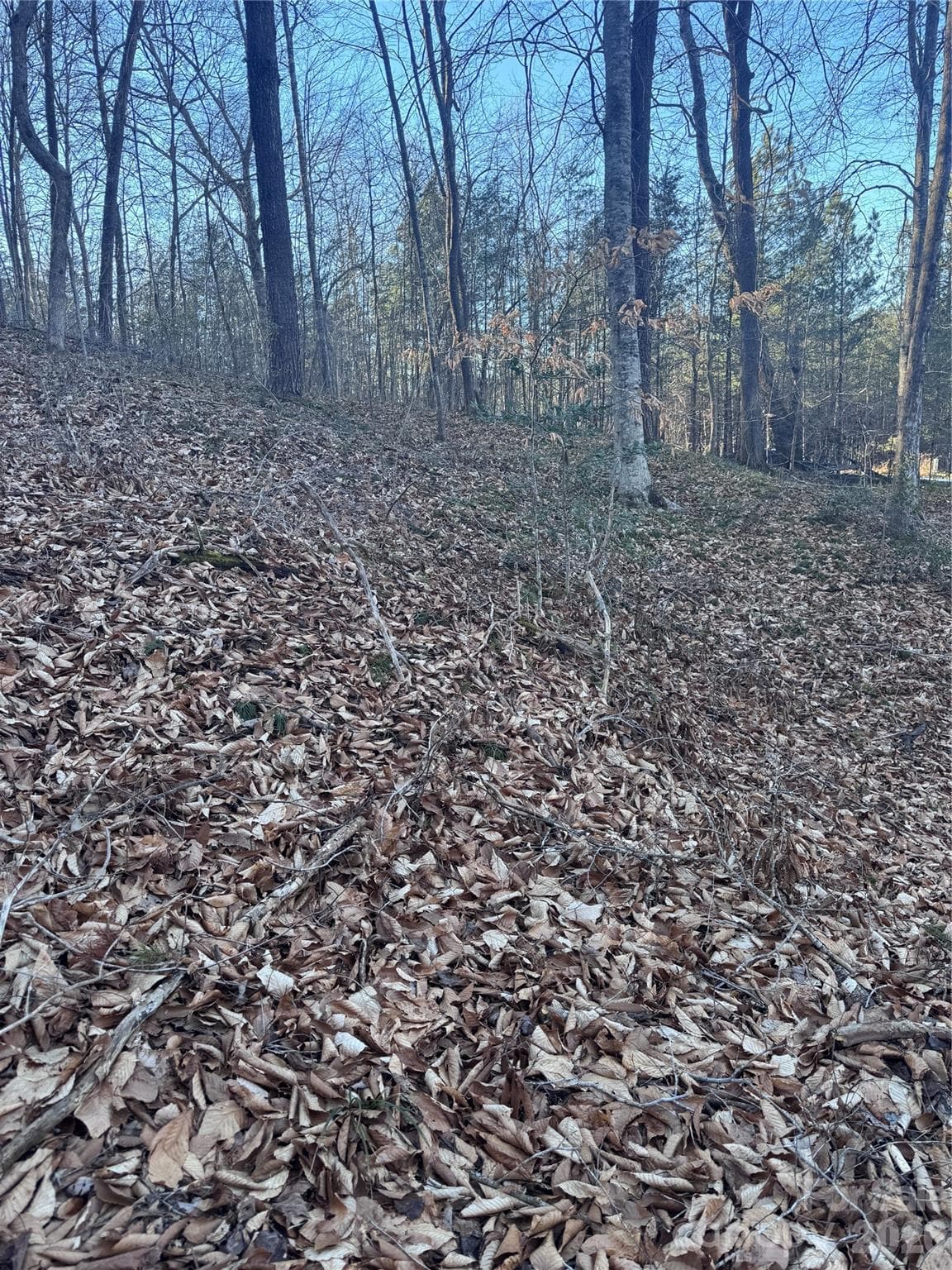 Lot at Rutherfordton, photo 12 of 32