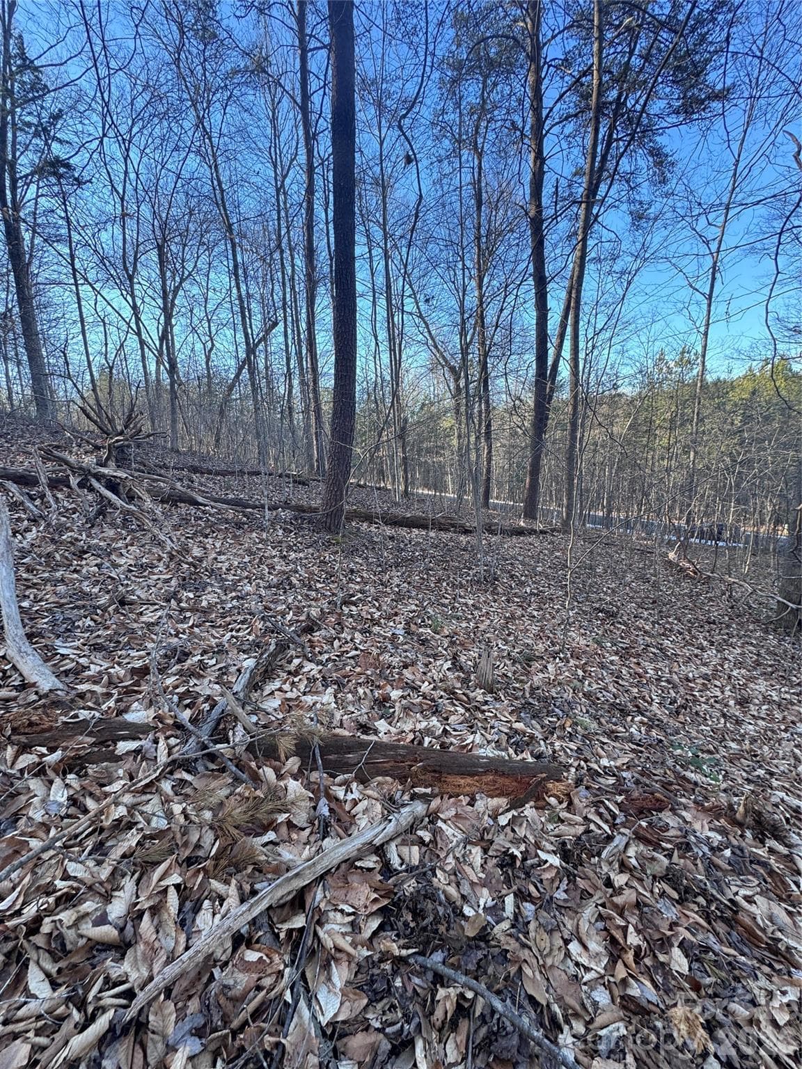 Lot at Rutherfordton, photo 14 of 32