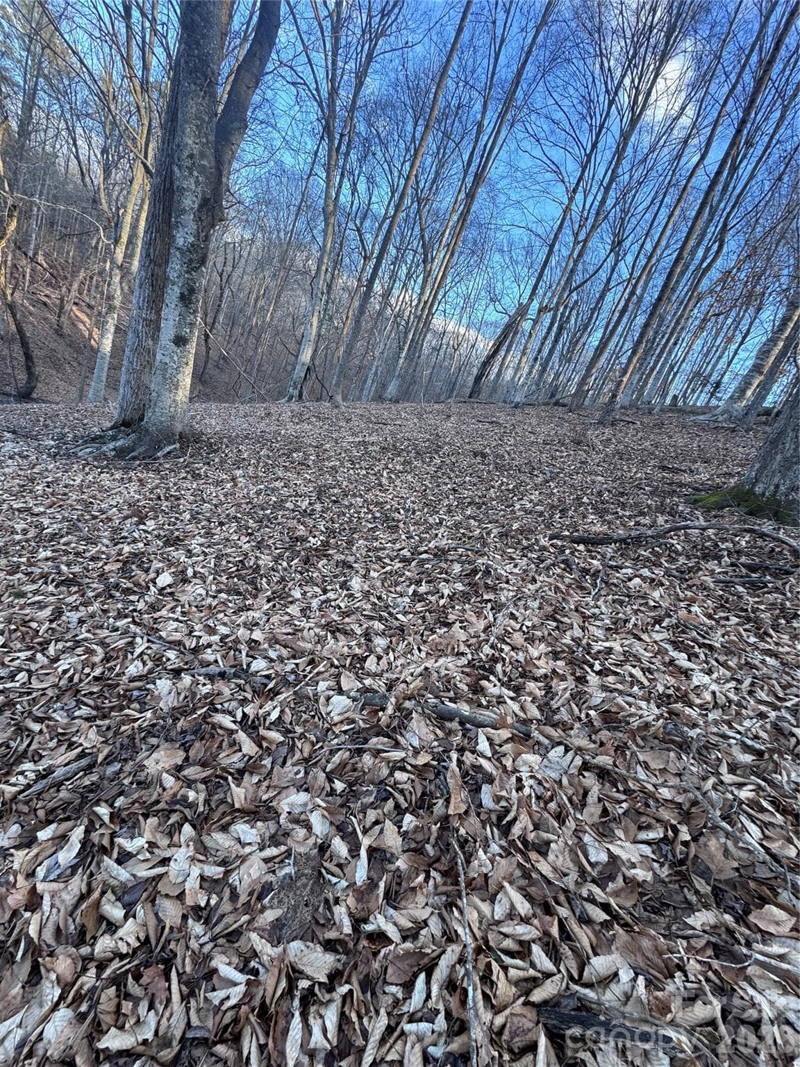 Lot at Rutherfordton, photo 16 of 32