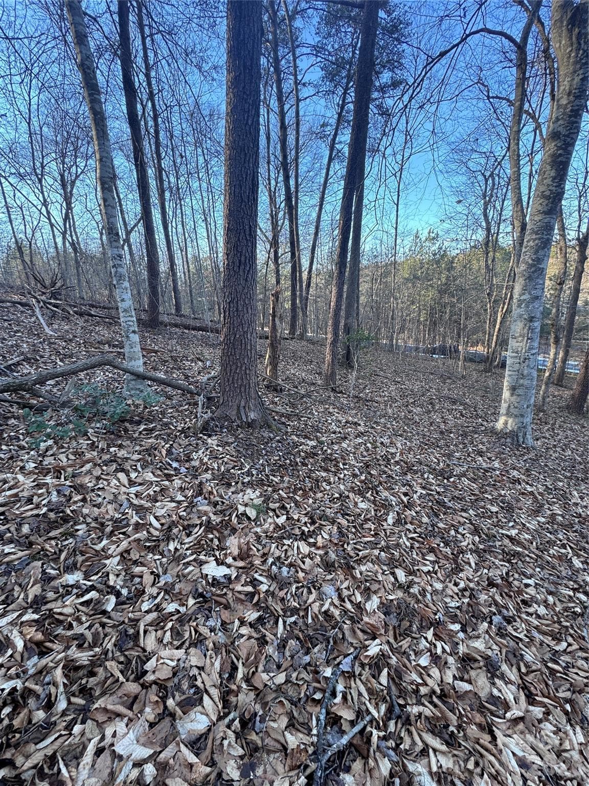 Lot at Rutherfordton, photo 18 of 32