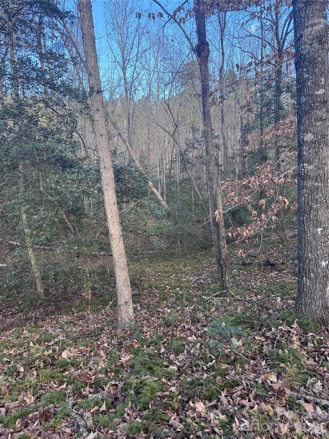 Lot at 0 Hearthstone Drive, Union Mills, photo 2 of 17
