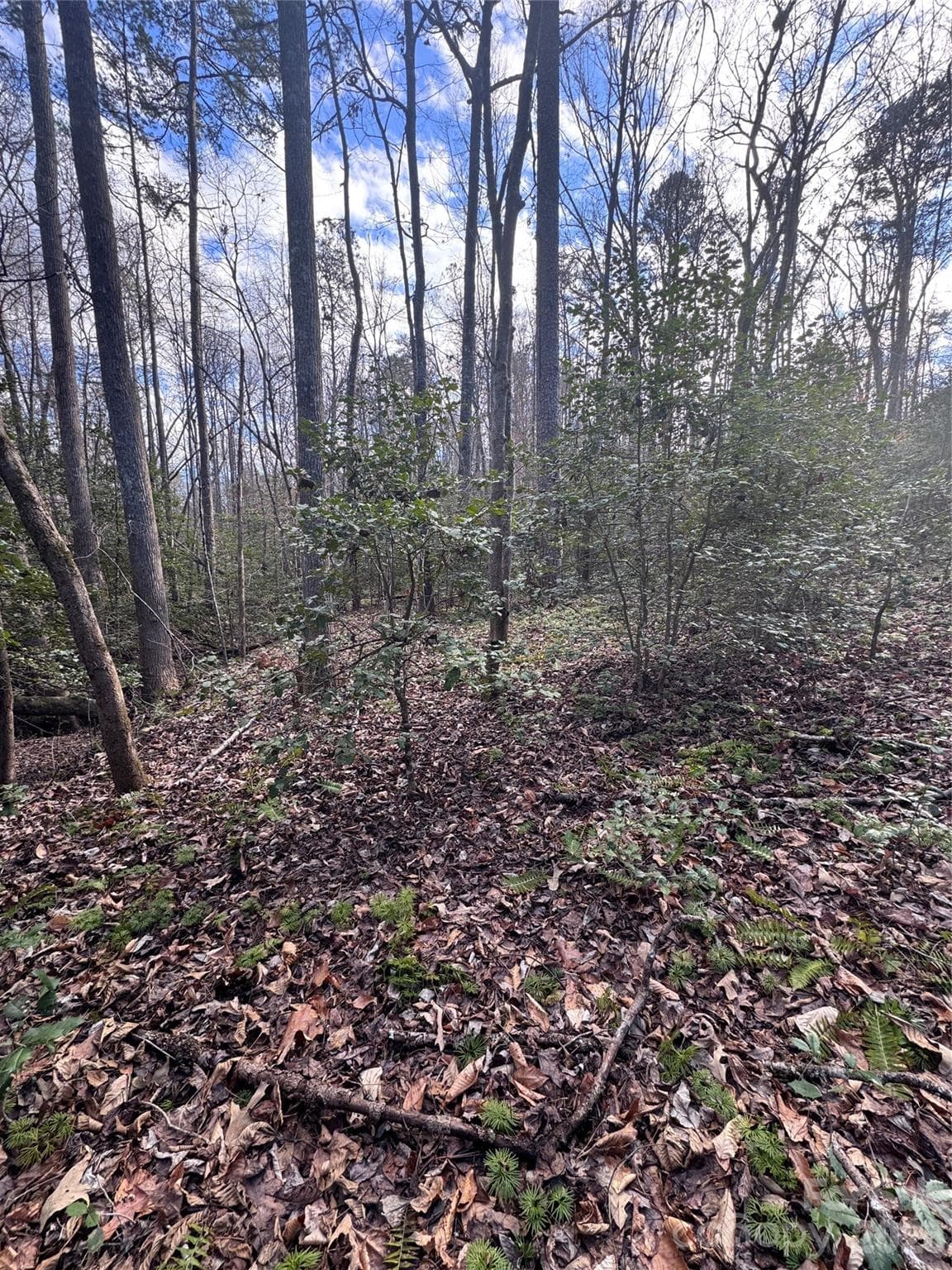 Lot at 0 Hearthstone Drive, Union Mills, photo 3 of 17