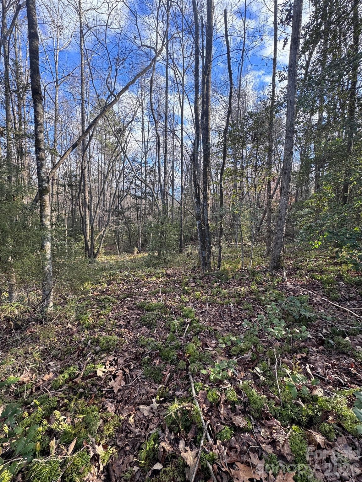 Lot at 0 Hearthstone Drive, Union Mills, photo 4 of 17