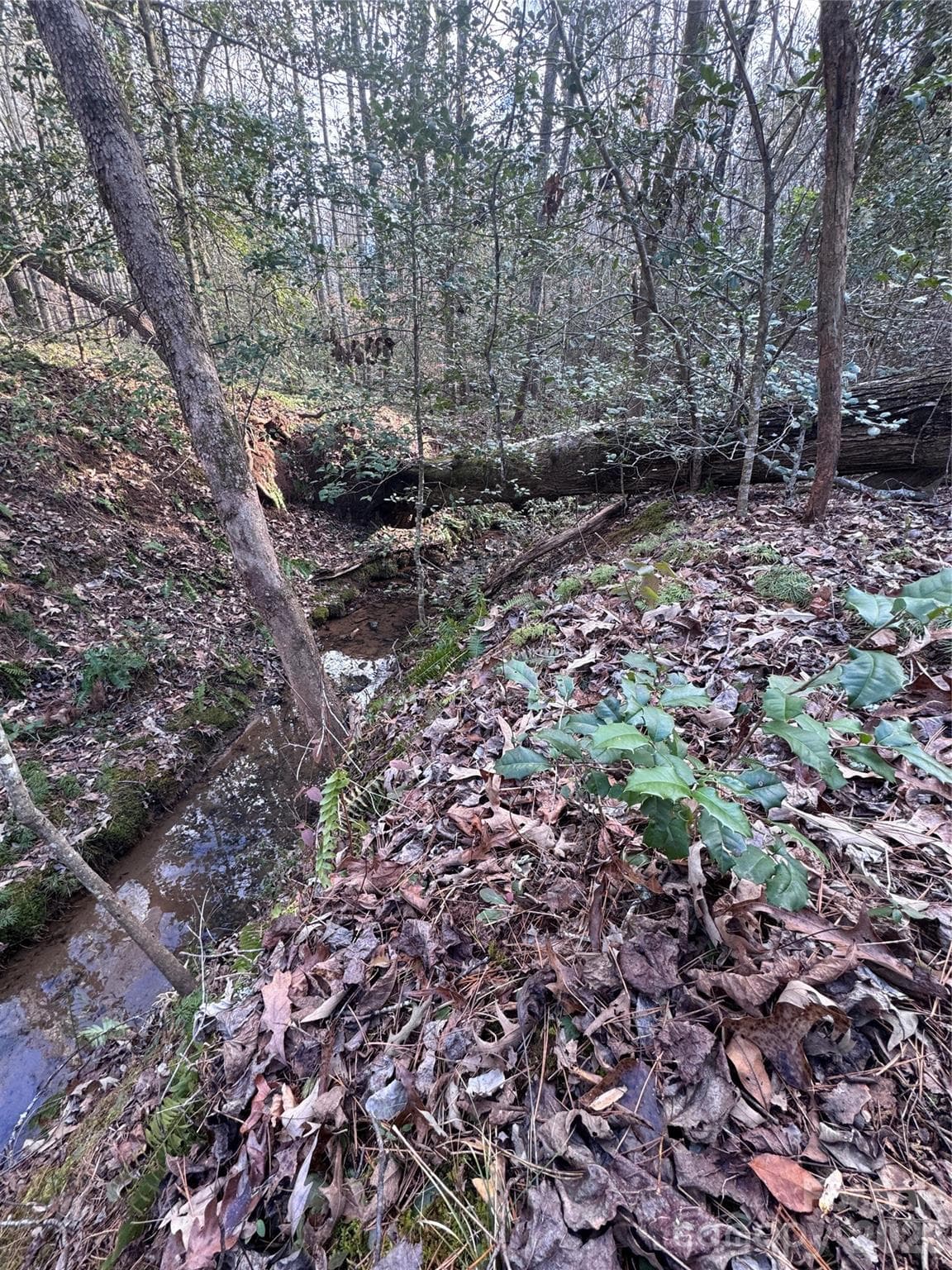 Lot at 0 Hearthstone Drive, Union Mills, photo 5 of 17