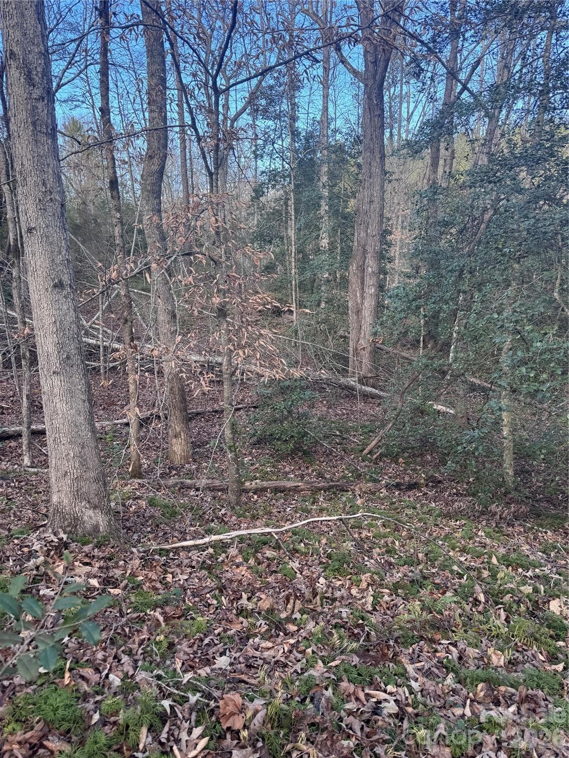 Lot at 0 Hearthstone Drive, Union Mills, photo 6 of 17