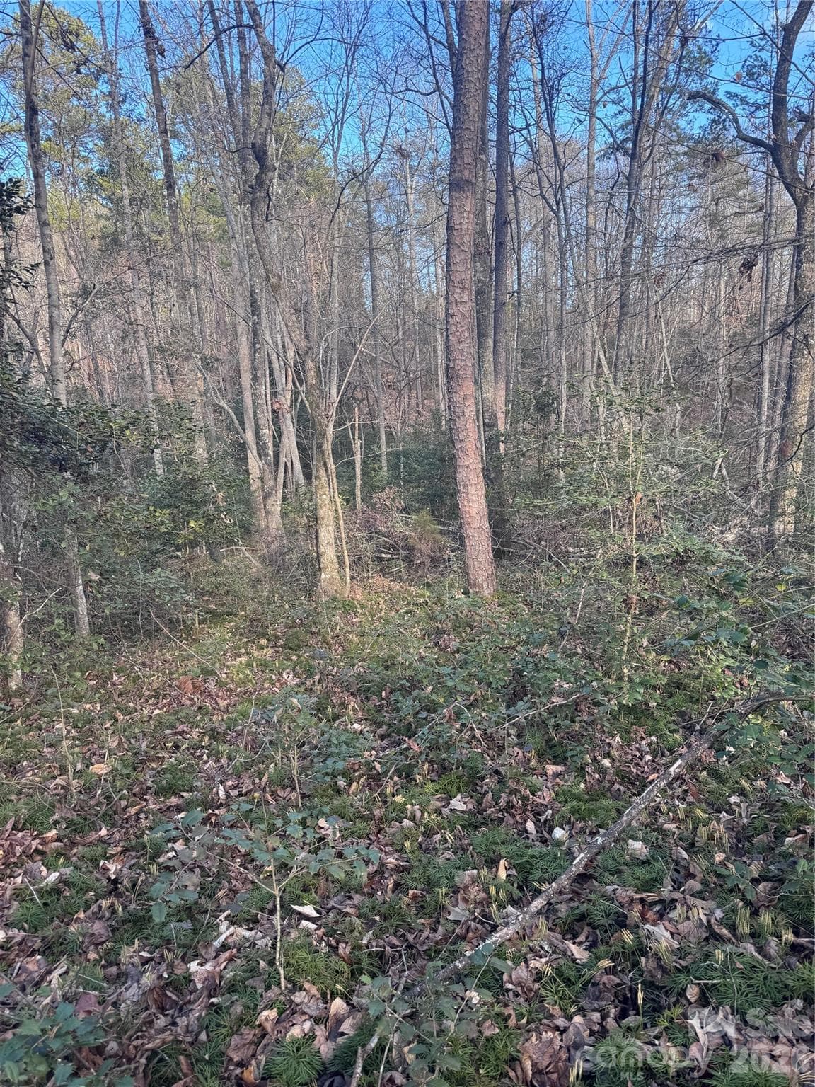 Lot at 0 Hearthstone Drive, Union Mills, photo 7 of 17