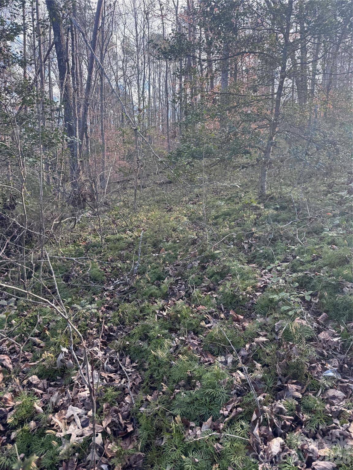 Lot at 0 Hearthstone Drive, Union Mills, photo 8 of 17