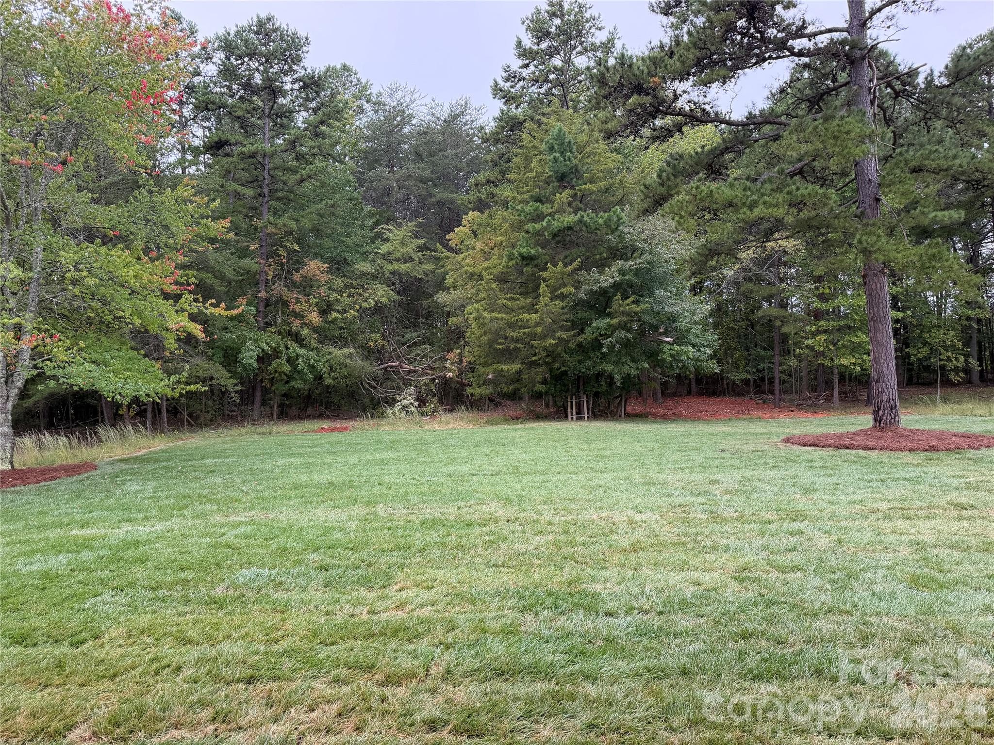 Spacious backyard perfect for a pool! - 128 Willow View Loop, Davidson