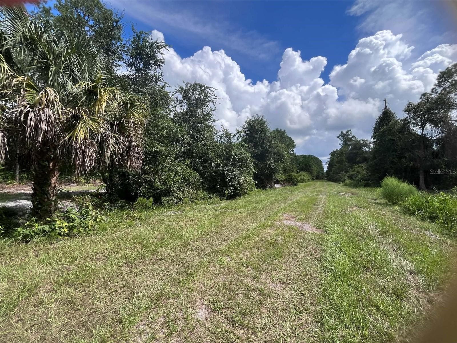 Land at 334 REDWOOD BLVD, GEORGETOWN, photo 9 of 11