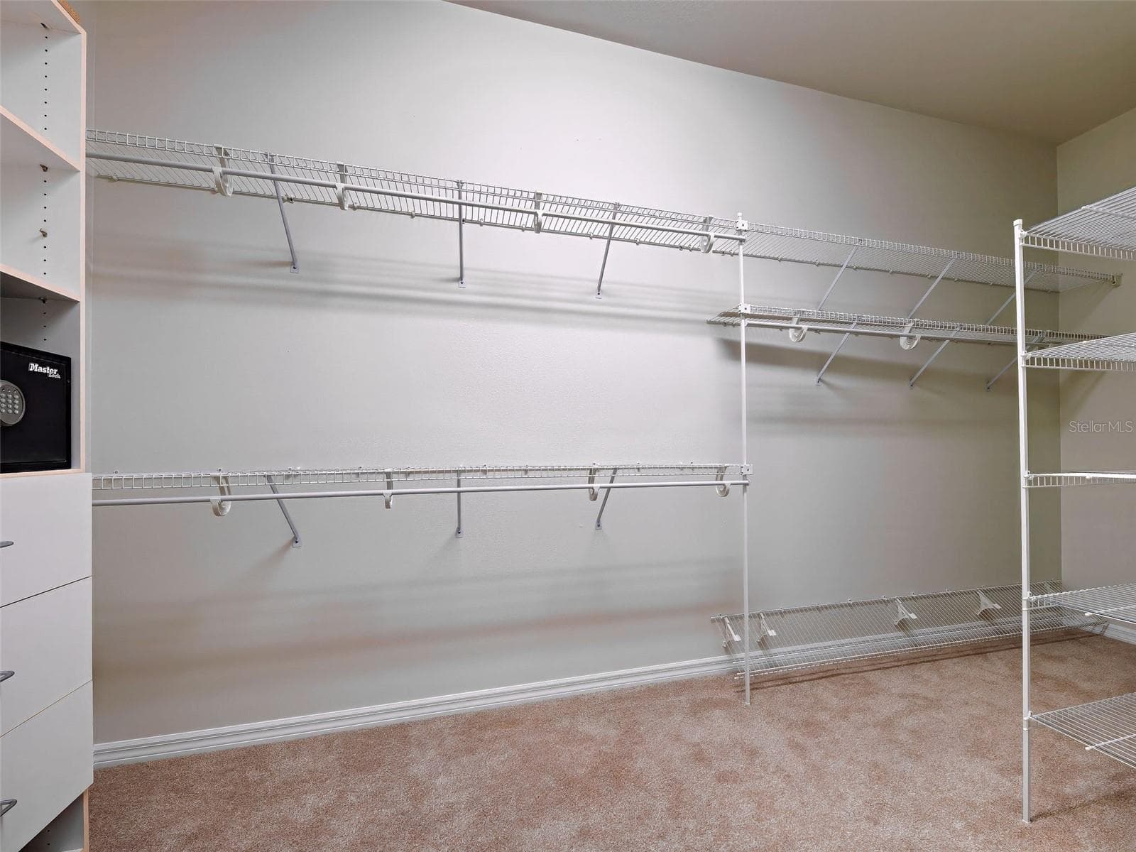 One of 2 huge walk-in closets (6 x 13). - 692 EGRET WALK LN, VENICE