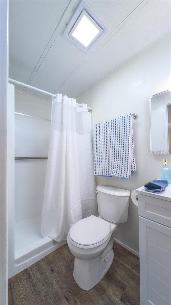 New plumbing, New toilets, new sinks, new floors, new shower - 229 DIXIE, TARPON SPRINGS