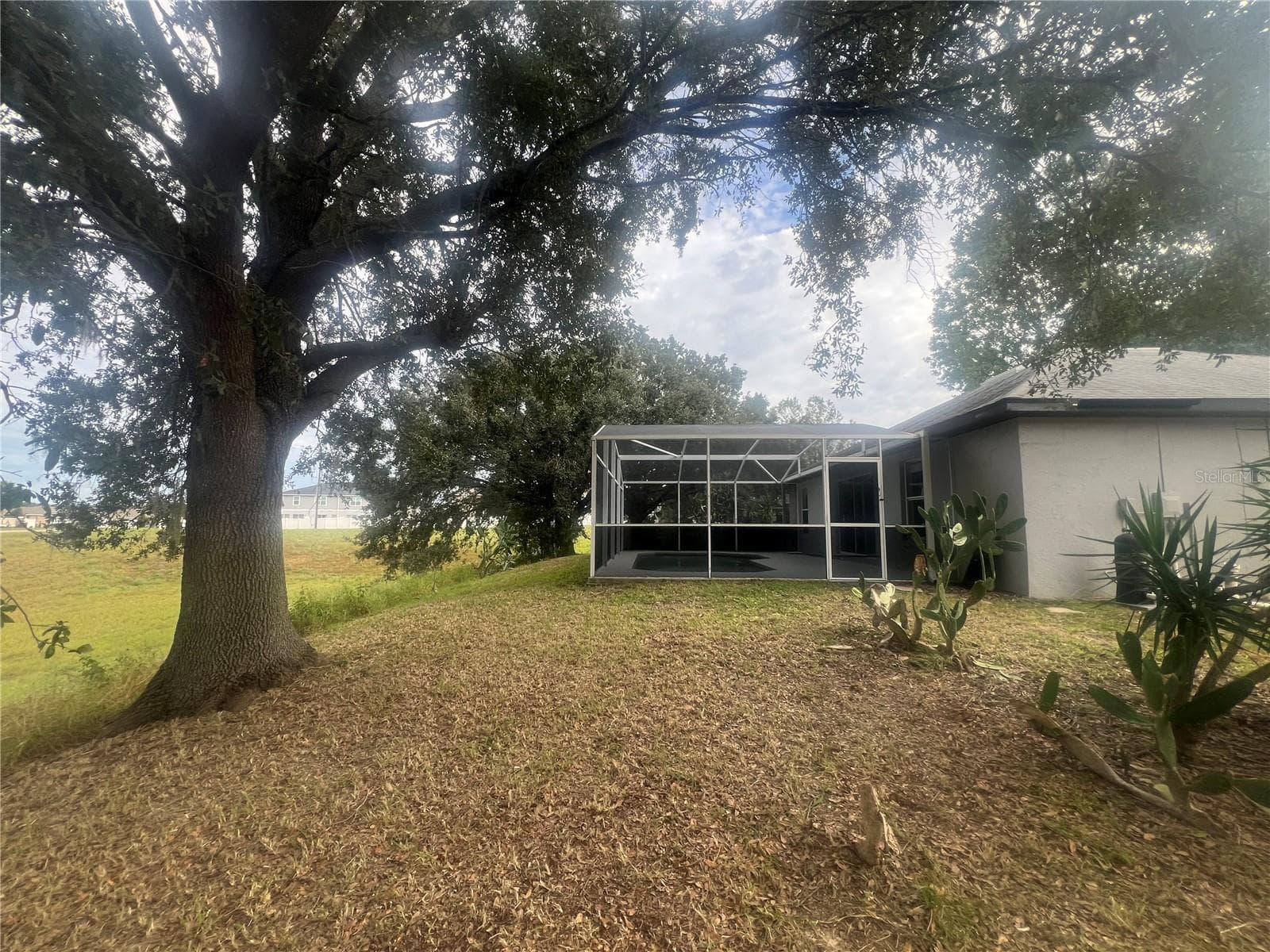 Backyard - 237 WALPOLE LOOP, DAVENPORT