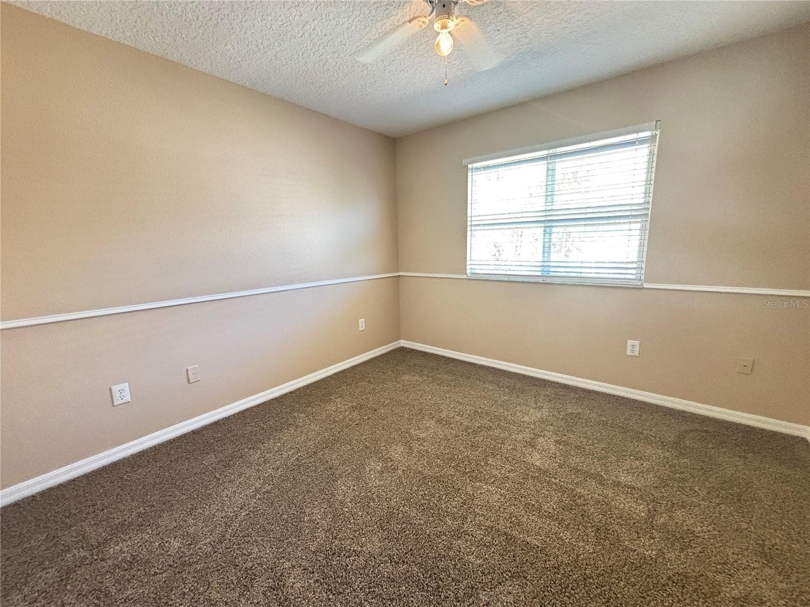 Single Family Residence at 18931 FISHERMANS BEND DR, LUTZ, photo 11 of 22