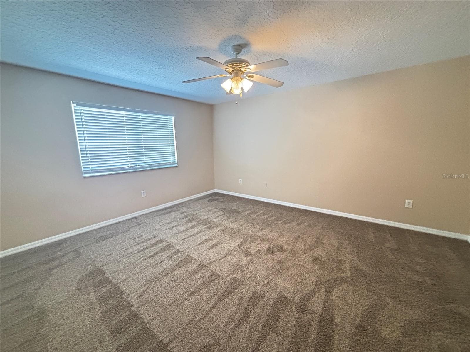 Single Family Residence at 18931 FISHERMANS BEND DR, LUTZ, photo 13 of 22