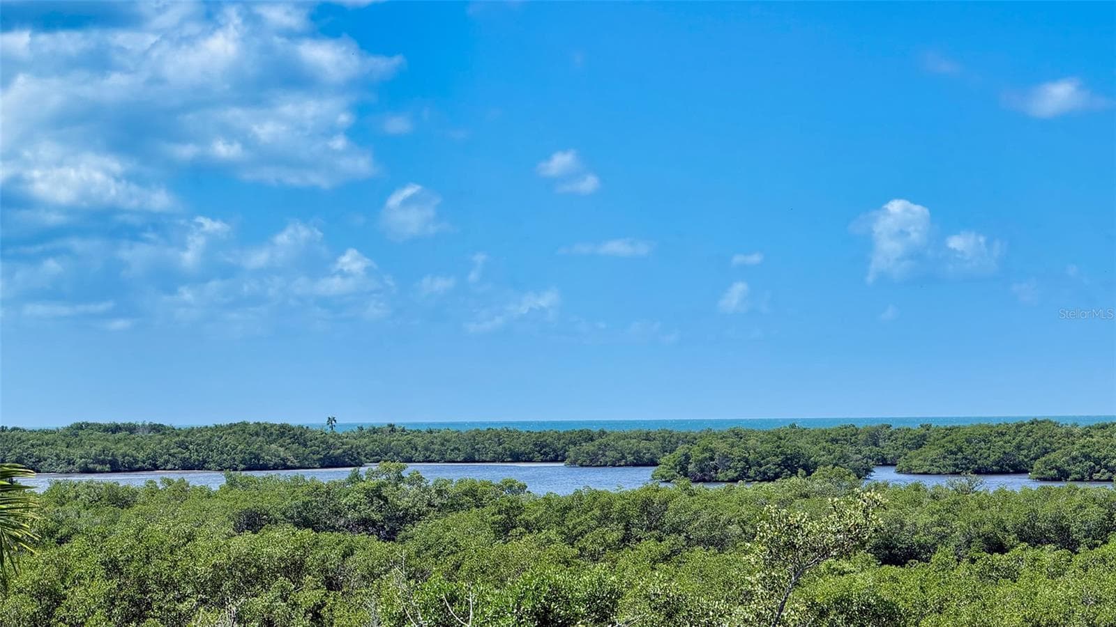 Elevated views extend across the lush coastal landscape toward the waters of Little Sarasota Bay. - 168 COASTAL HAMMOCK CT, OSPREY