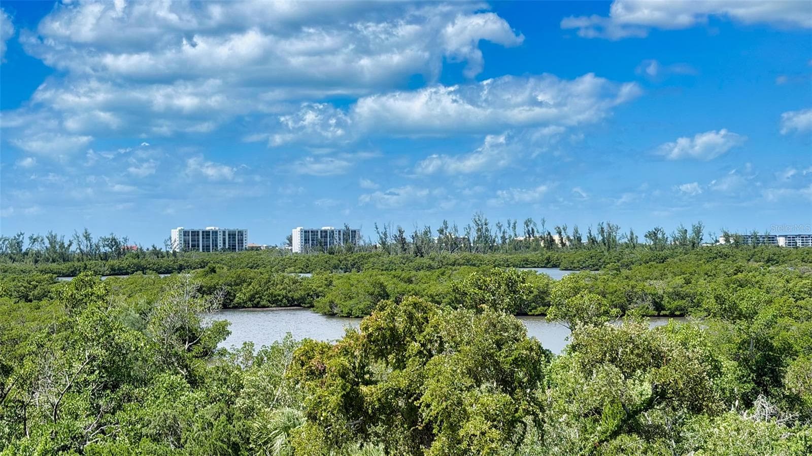 The rooftop vantage point captures the remarkable natural beauty surrounding this unique residence. - 168 COASTAL HAMMOCK CT, OSPREY