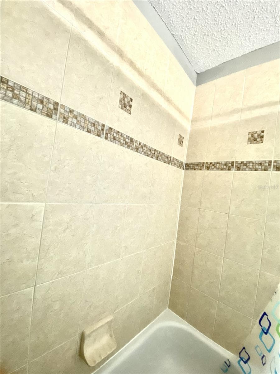 BATH 3 - 12005 MISTY BROOK CT, TAMPA