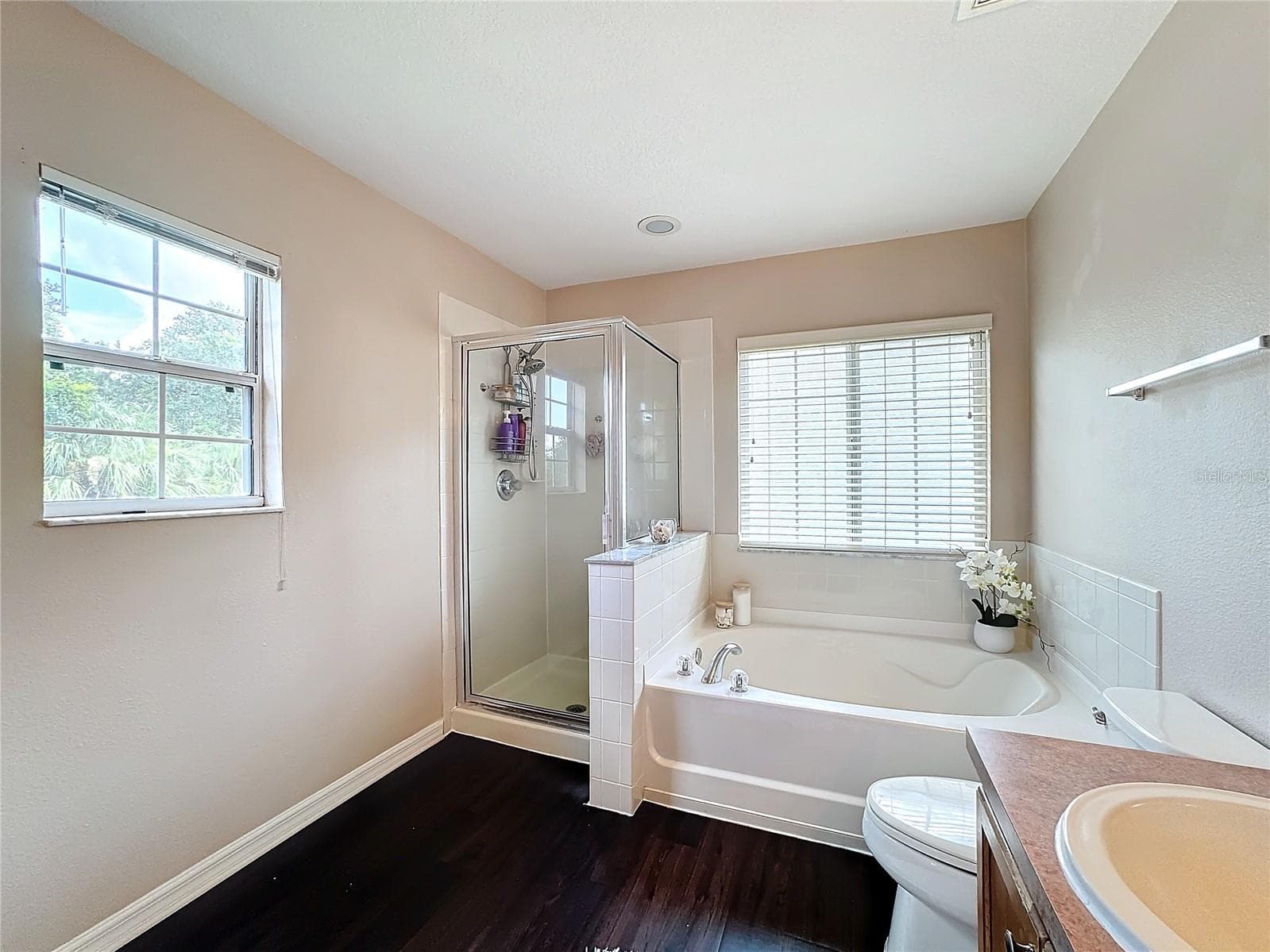 Single Family Residence at 6312 MAGNOLIA TRAILS LN, GIBSONTON, photo 46 of 65
