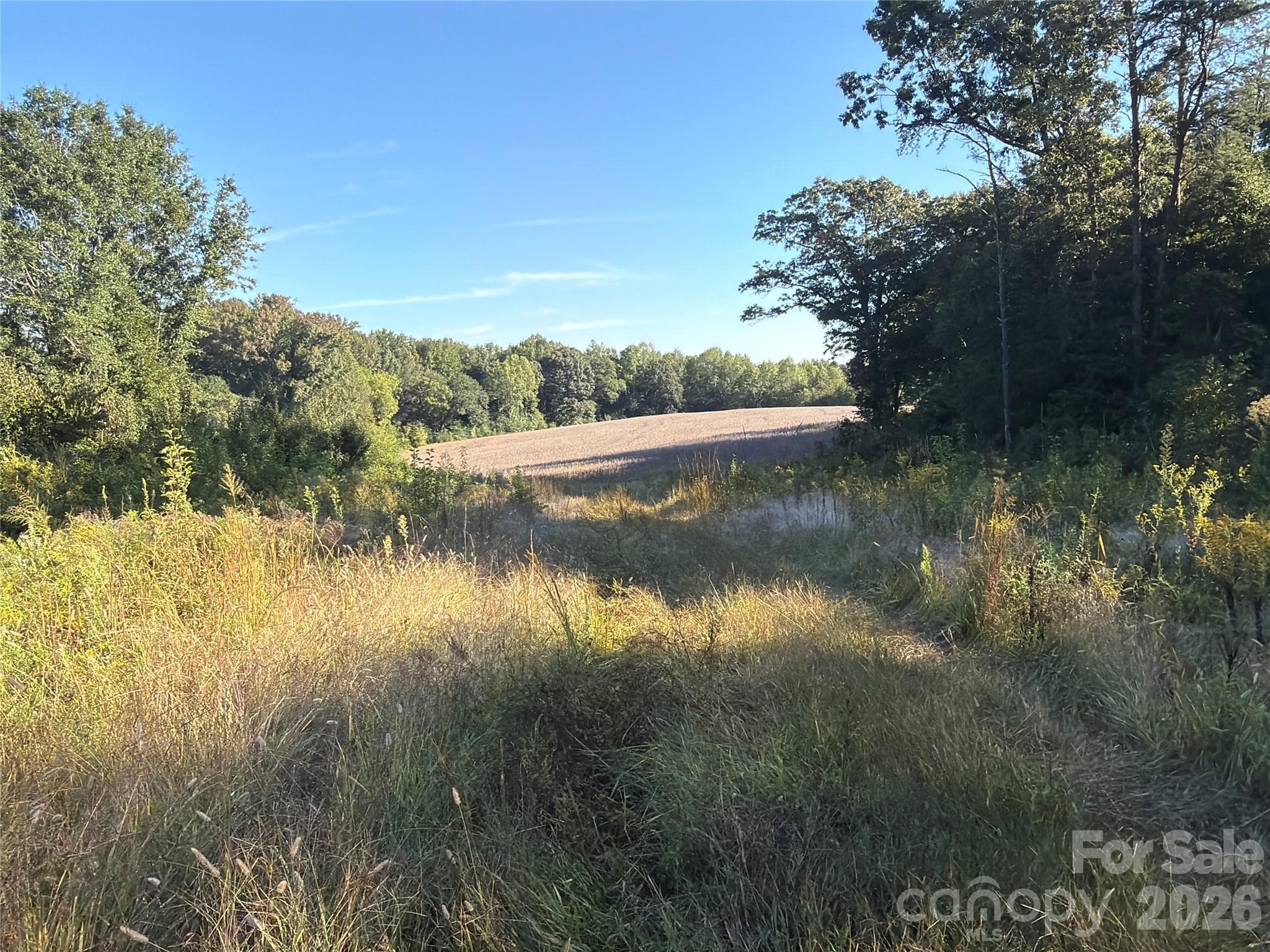 Acreage at 00 Gantts Grove Church Road, Mooresboro, photo 14 of 19