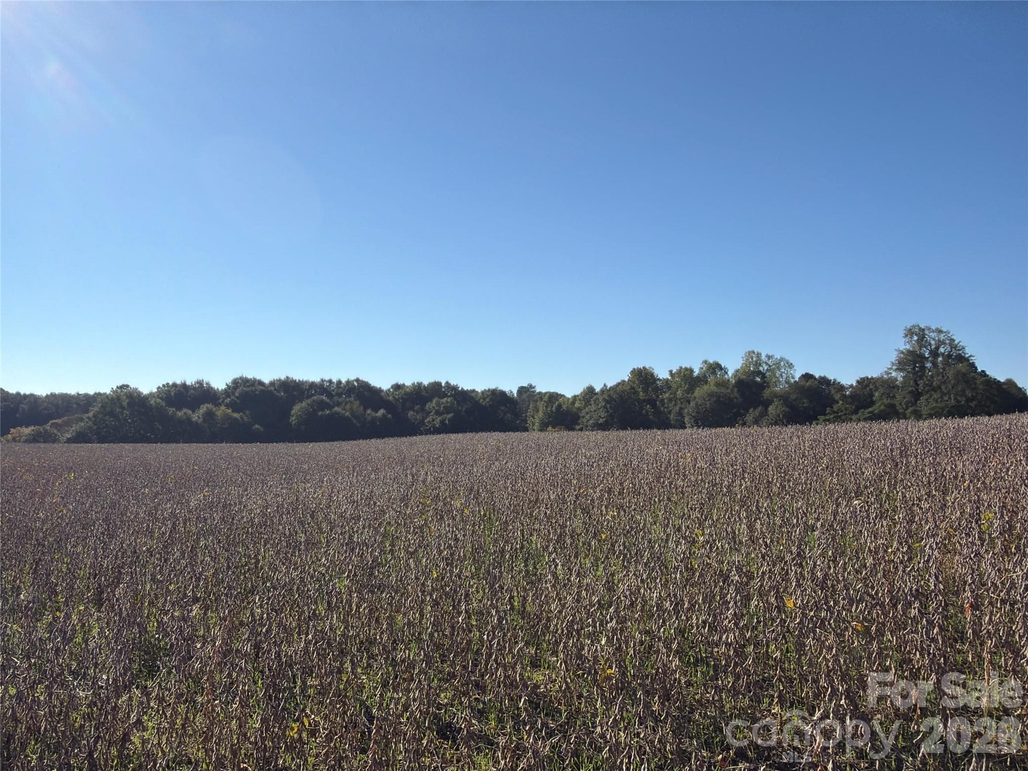 Acreage at 00 Gantts Grove Church Road, Mooresboro, photo 16 of 19