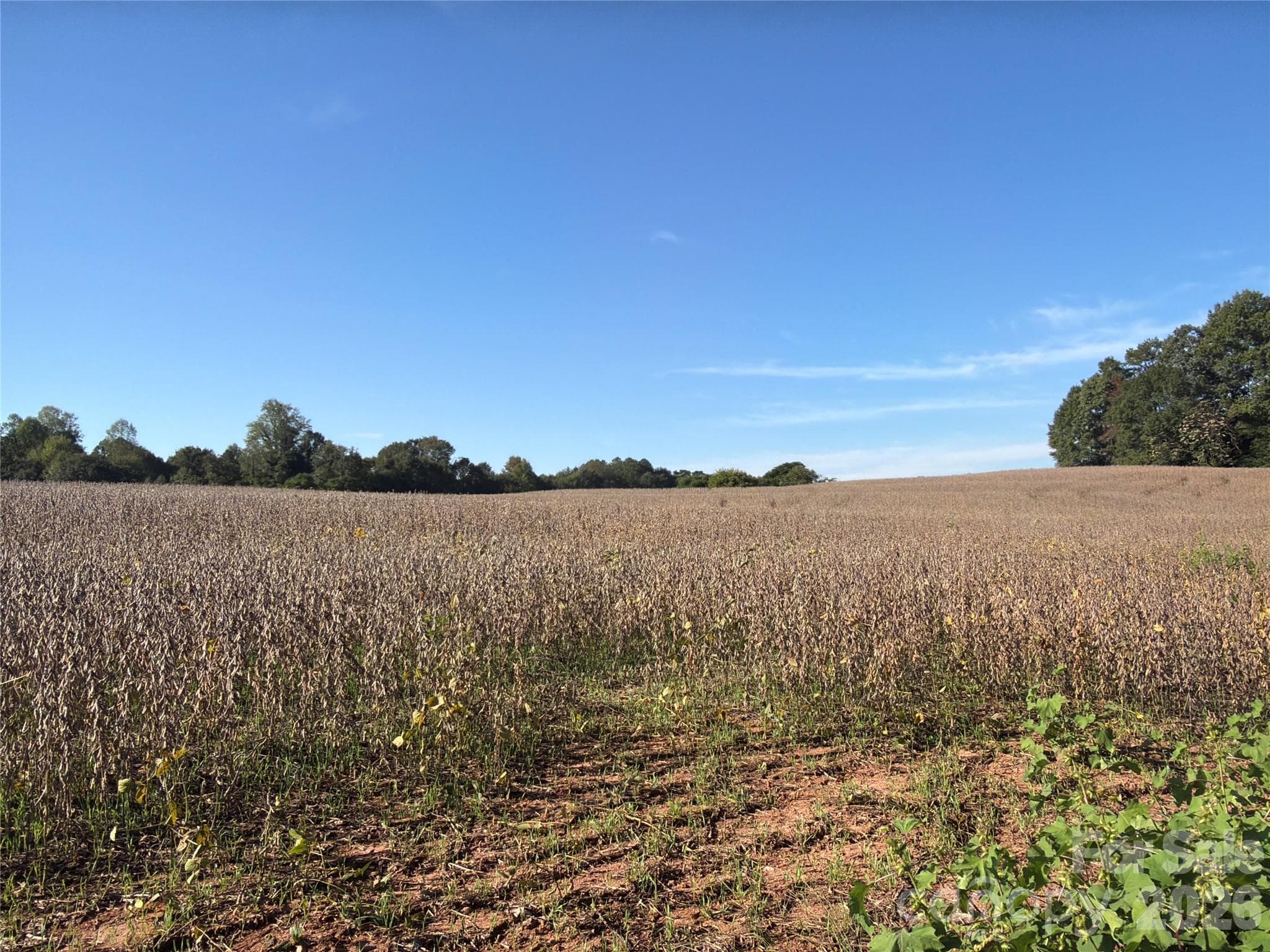 Acreage at 00 Gantts Grove Church Road, Mooresboro, photo 19 of 19