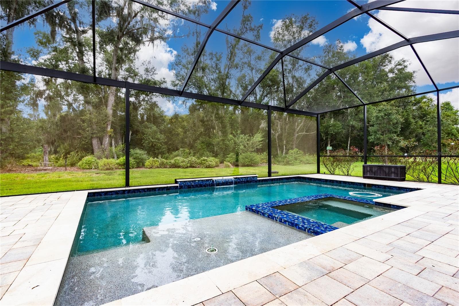 Panoramic screen for unobstructed view - 13303 TRAILING MOSS DR, DADE CITY
