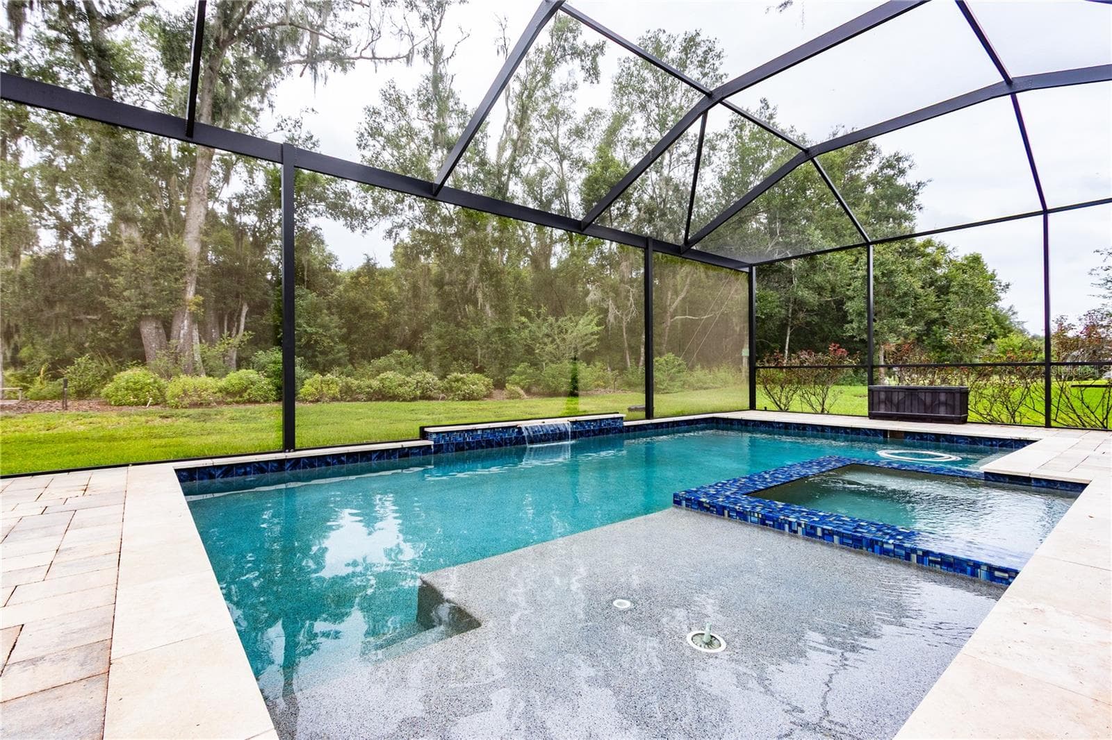 Sunshelf and heated spa inside the pool! - 13303 TRAILING MOSS DR, DADE CITY