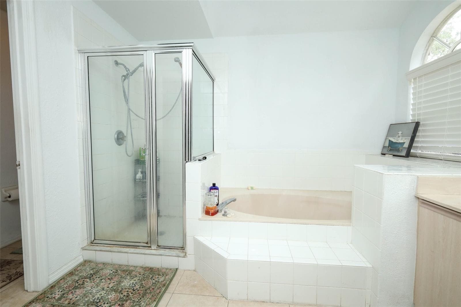 primary bathroom - 1000 PIEDMONT OAKS DR, APOPKA