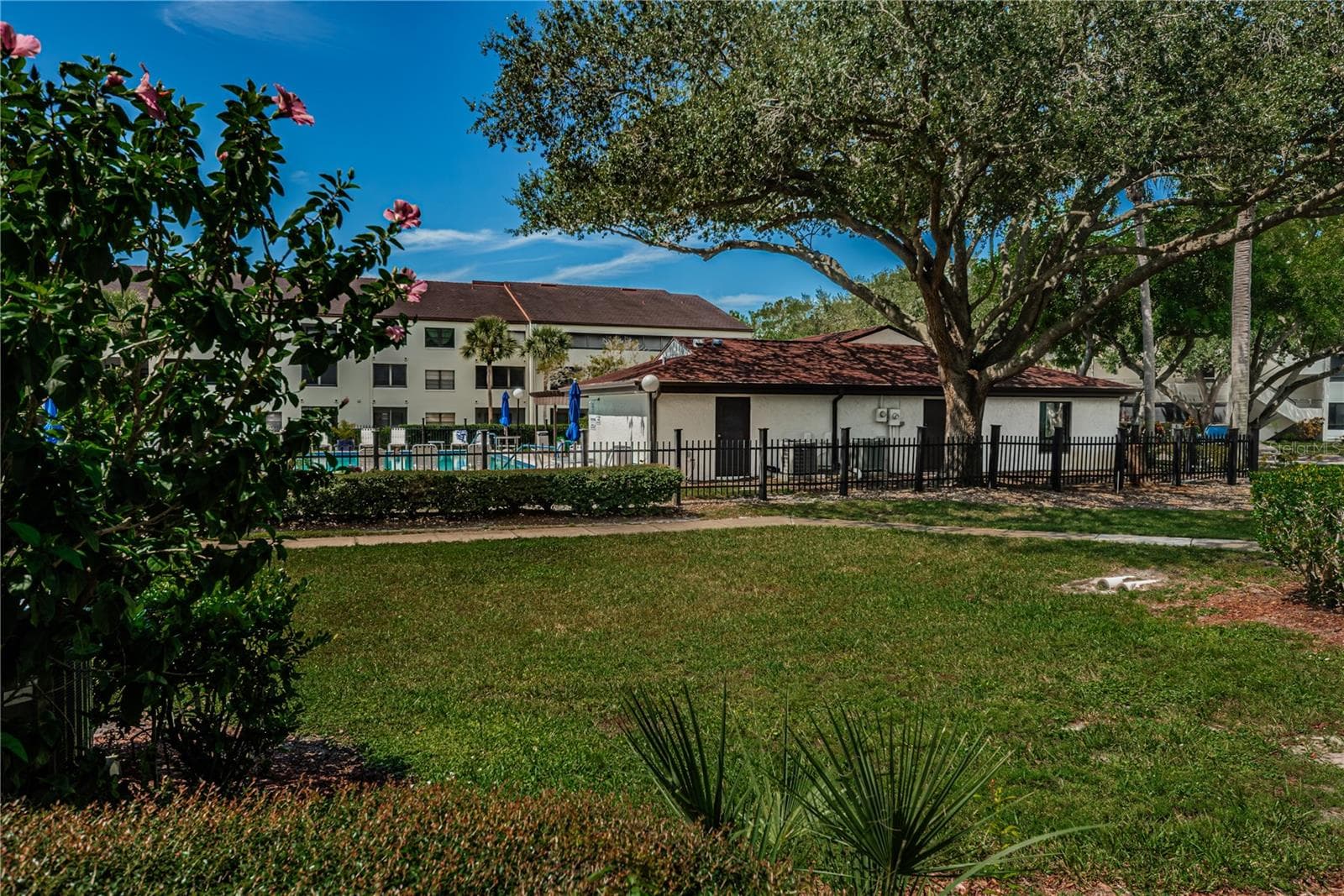 Condominium at 2591 COUNTRYSIDE BLVD #5106, CLEARWATER, photo 47 of 70