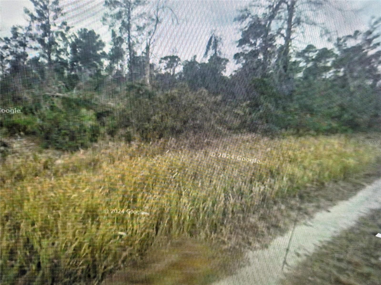 Land at 413 WAYSIDE AVE, SEBRING, photo 2 of 5