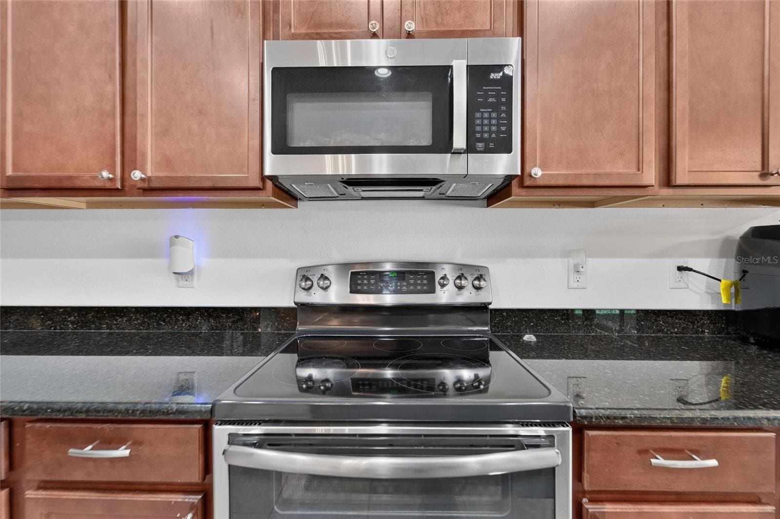Single Family Residence at 11520 SCARLET IBIS PL, RIVERVIEW, photo 21 of 63